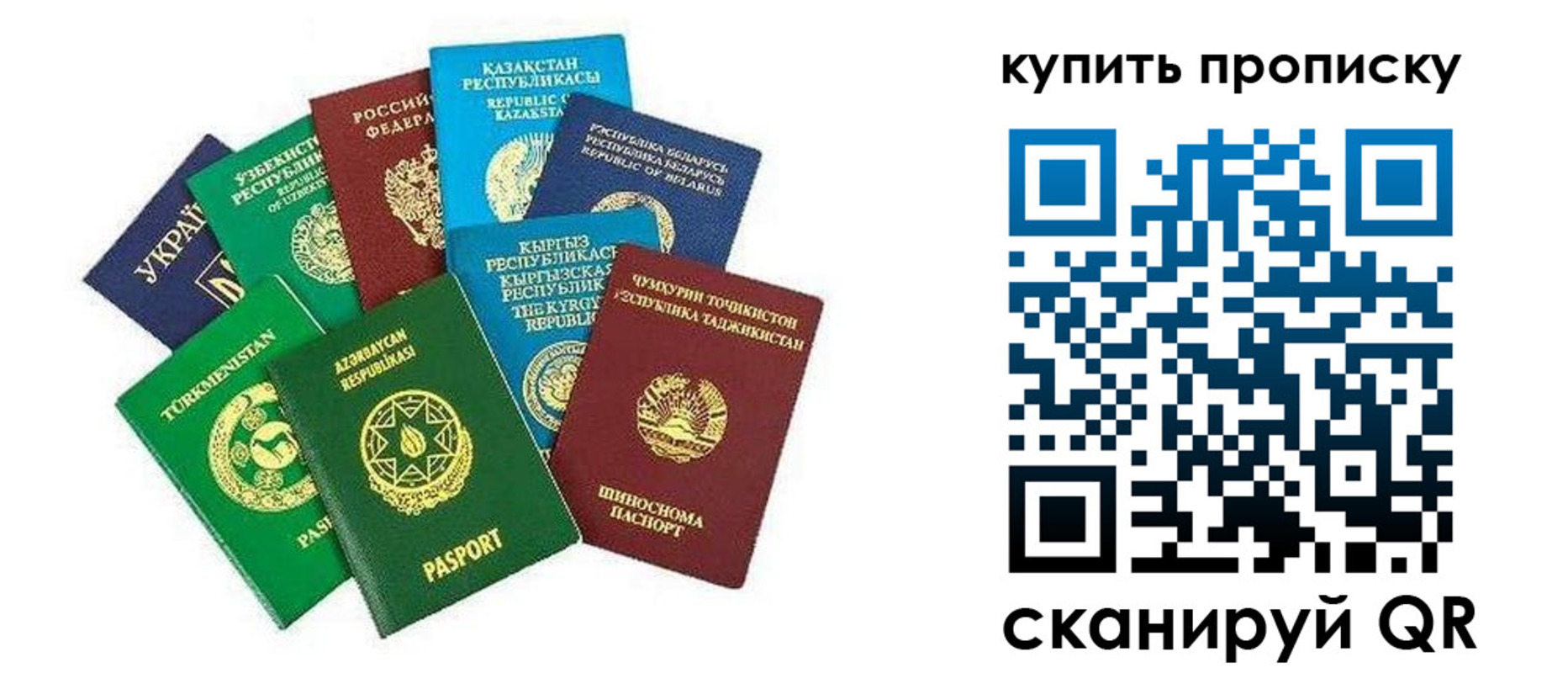где прописаться в Королёве